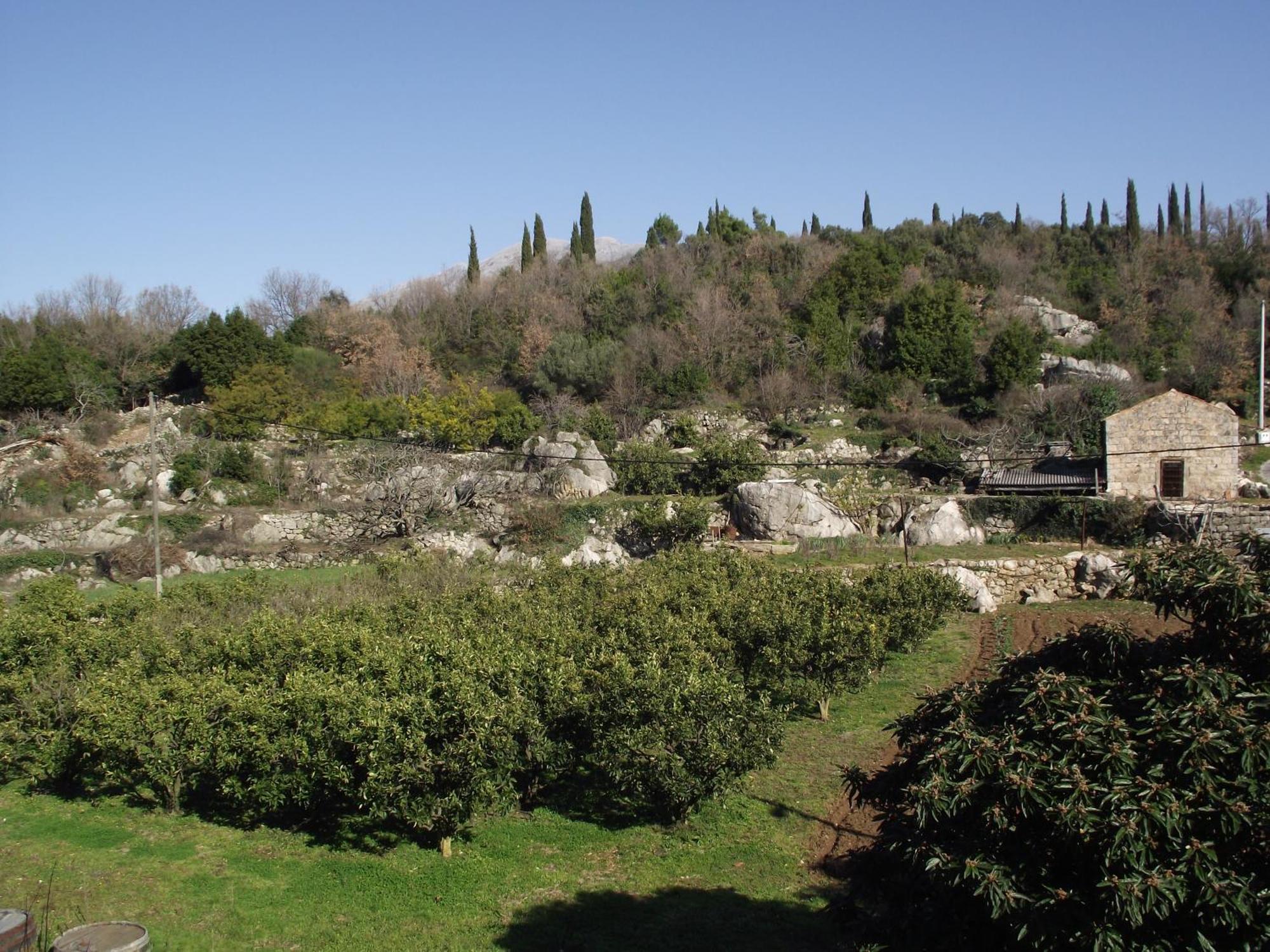 Konavle Apartments Zlatovisce Gruda ภายนอก รูปภาพ