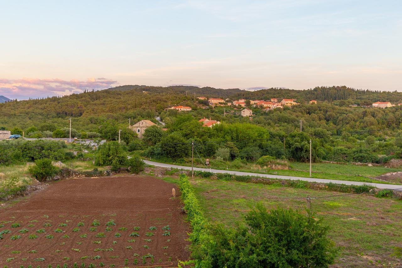 Konavle Apartments Zlatovisce Gruda ภายนอก รูปภาพ